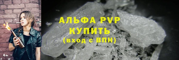 МДПВ Снежинск
