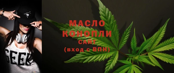 шишки Снежногорск