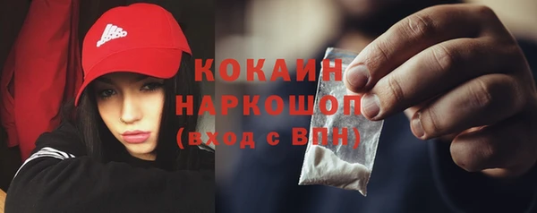 шишки Снежногорск