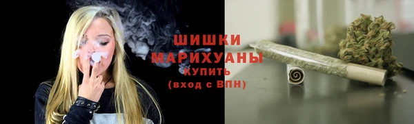 шишки Снежногорск