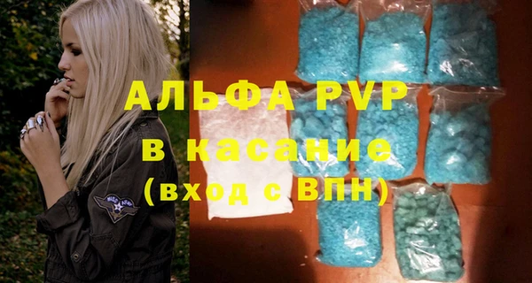 шишки Снежногорск