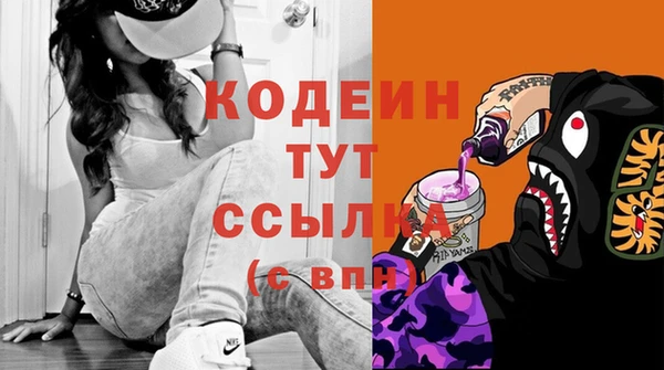 шишки Снежногорск