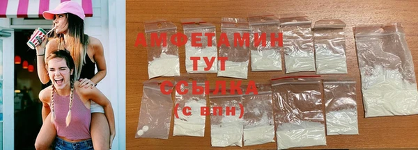 шишки Снежногорск