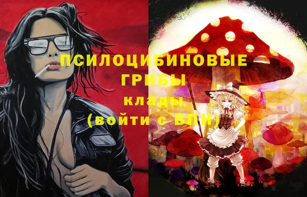 шишки Снежногорск