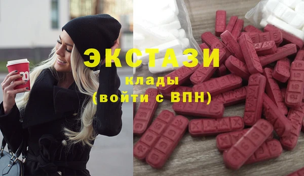 МДПВ Снежинск