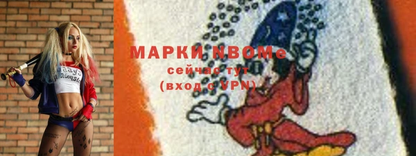 МДПВ Снежинск