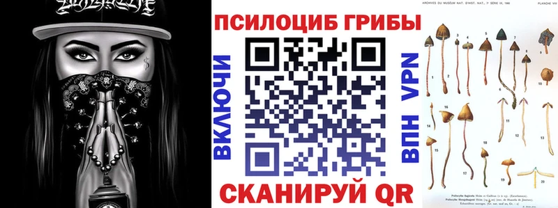 купить закладку  Карачев  Галлюциногенные грибы мицелий 