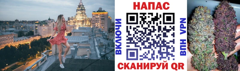 даркнет сайт  mega ONION  МАРИХУАНА сатива  Карачев 